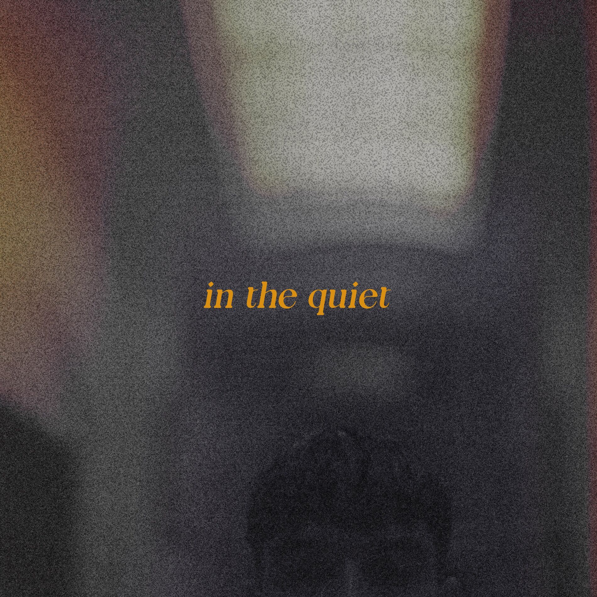 Album cover of in the quiet