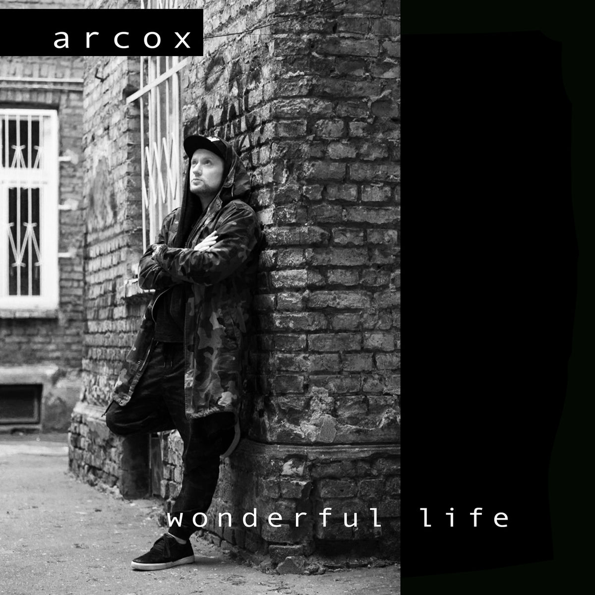 Album cover of Wonderful Life