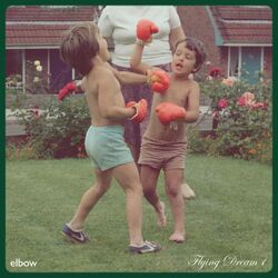 Cover of Flying Dream 1