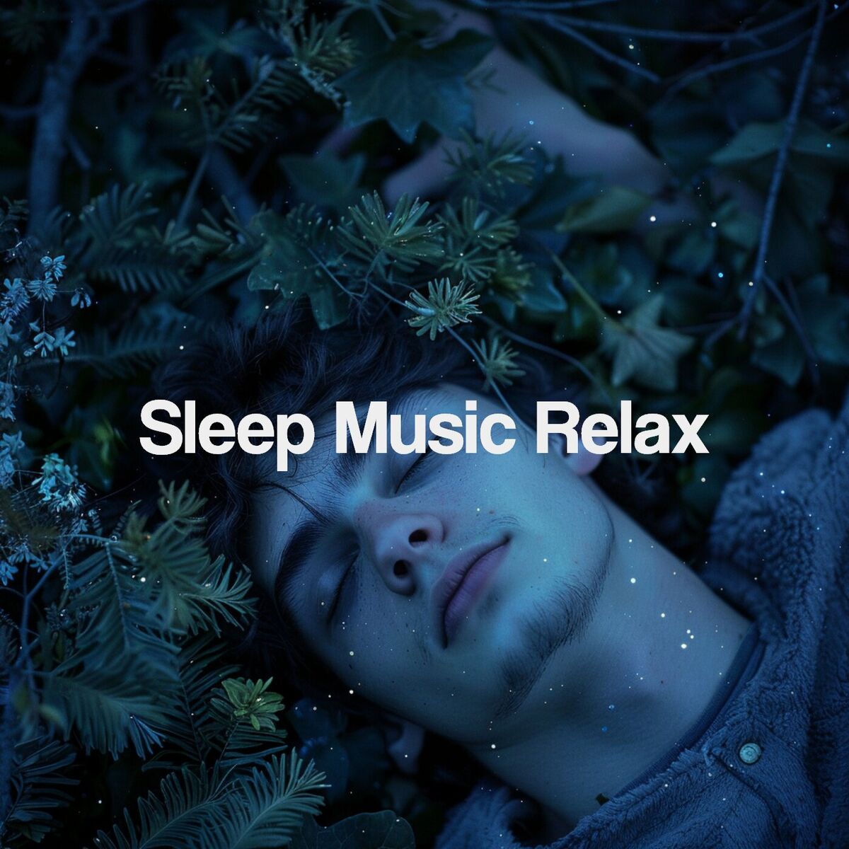 Album cover of Sleep Music Relax