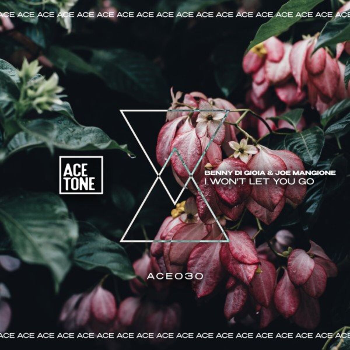 Album cover of I Won't Let You Go