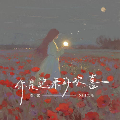 你是迟来的欢喜 (律动版)