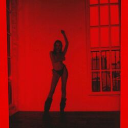 Cover of abuse me