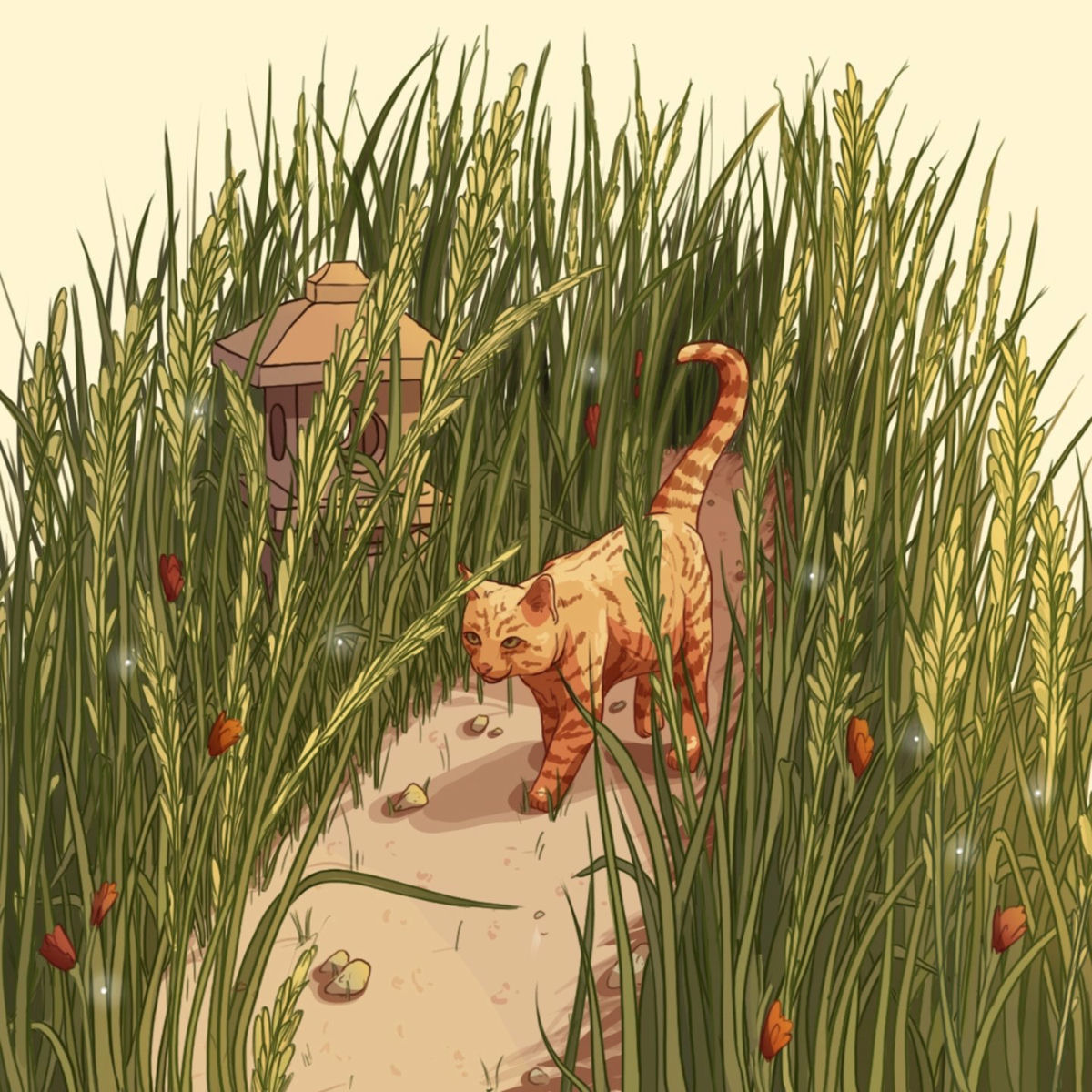 Album cover of Path Through the Tall Grass