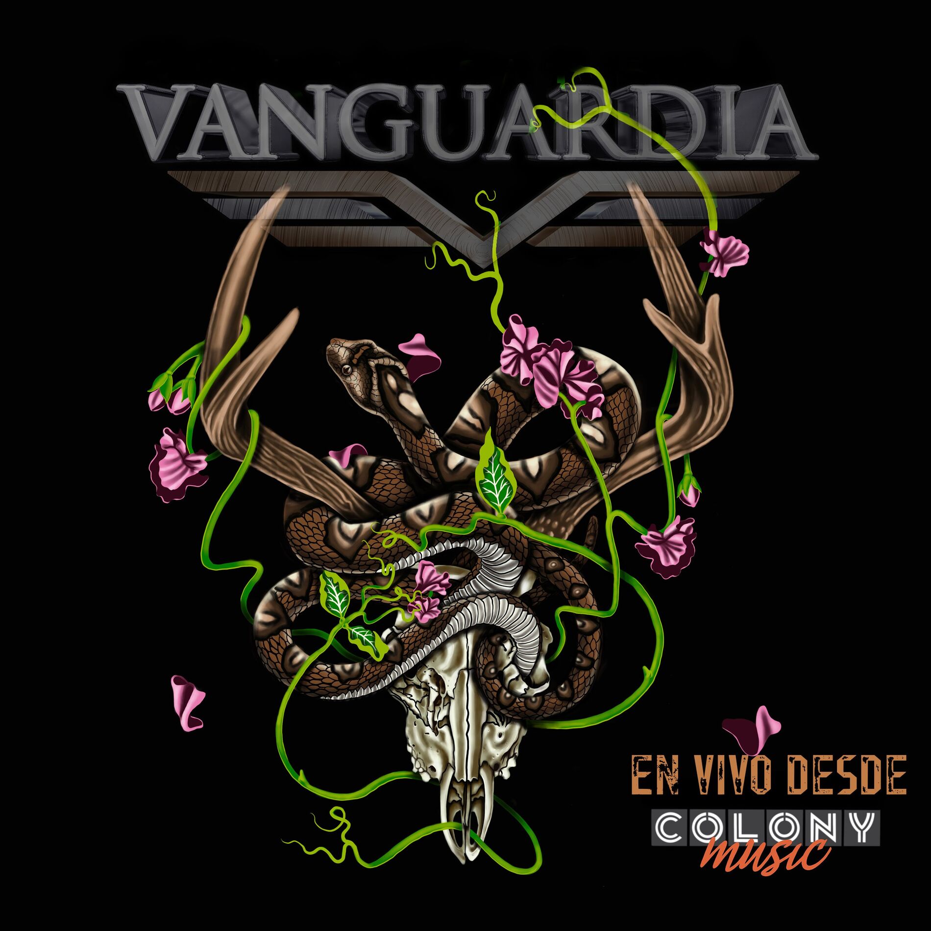 Album cover of En Vivo Desde Colony Music
