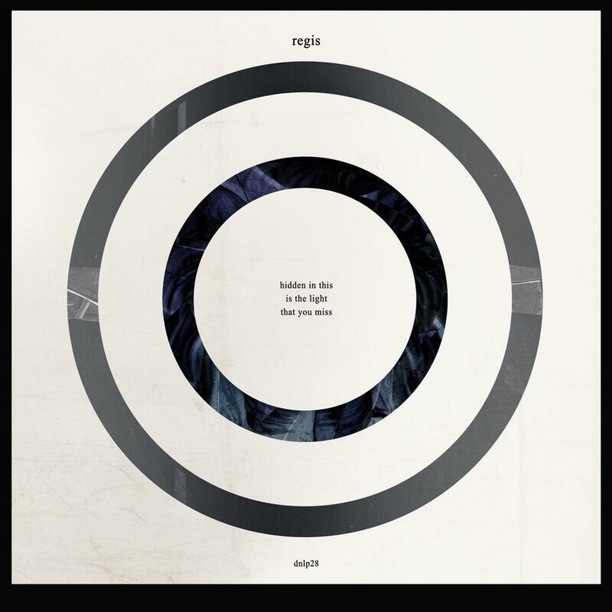 Album cover of Hidden in This is the Light That You Miss