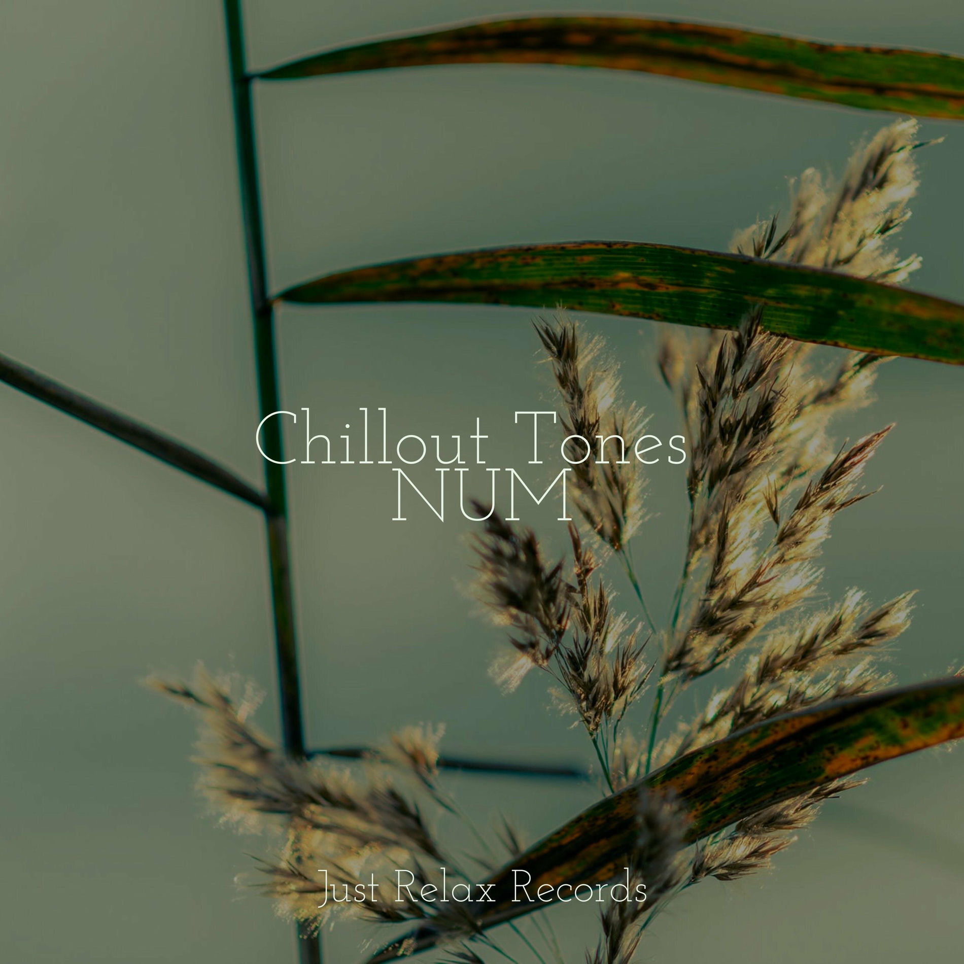 Album cover of Chillout Tones NUM