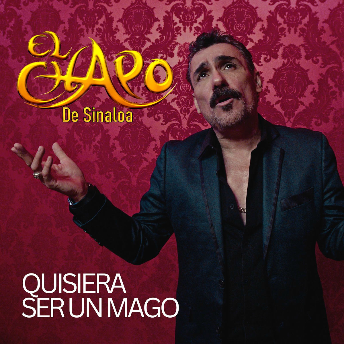 Album cover of Quisiera Ser Un Mago