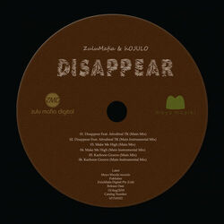 Cover of Disappear