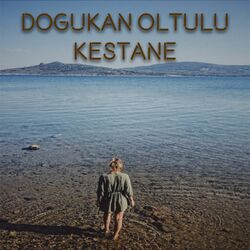 Cover of Kestane