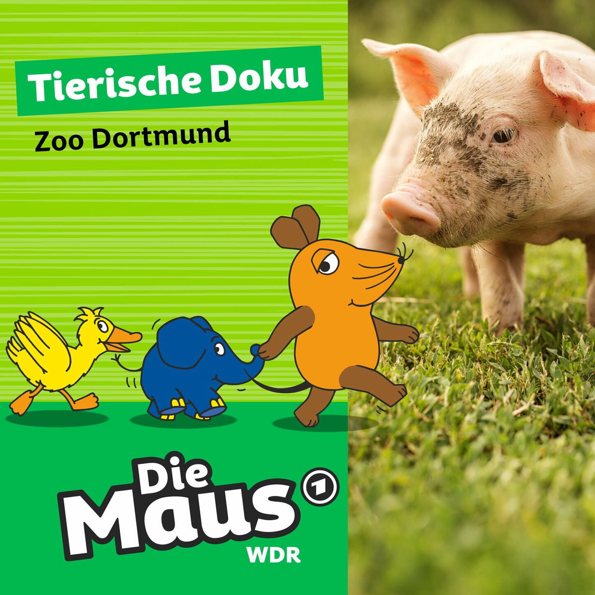 Album cover of Tierische Doku - Zoo Dortmund