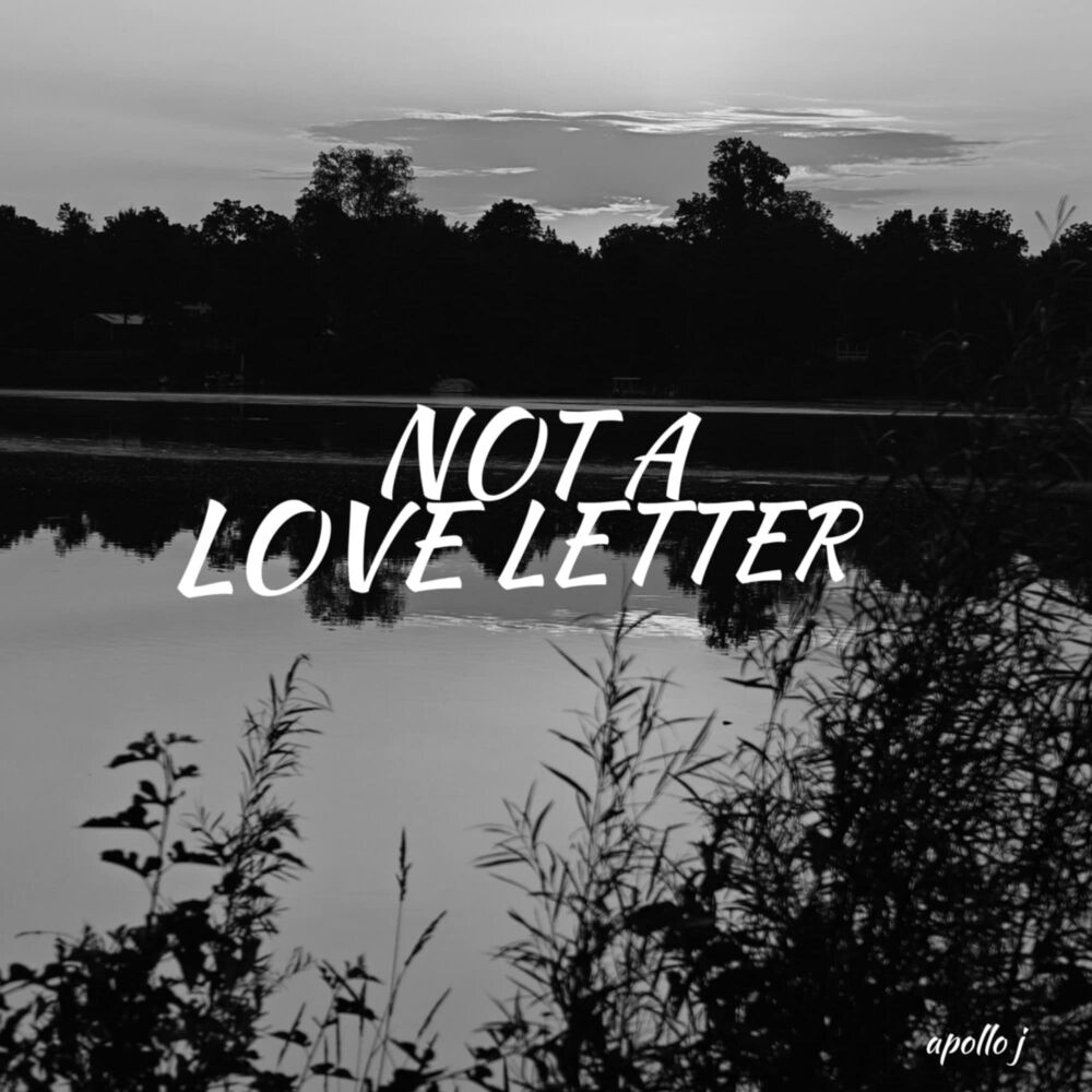 Picture of NOT A LOVE LETTER