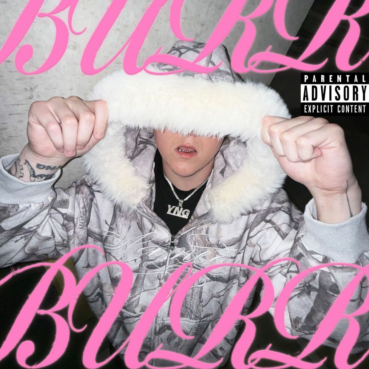 Album cover of BURR