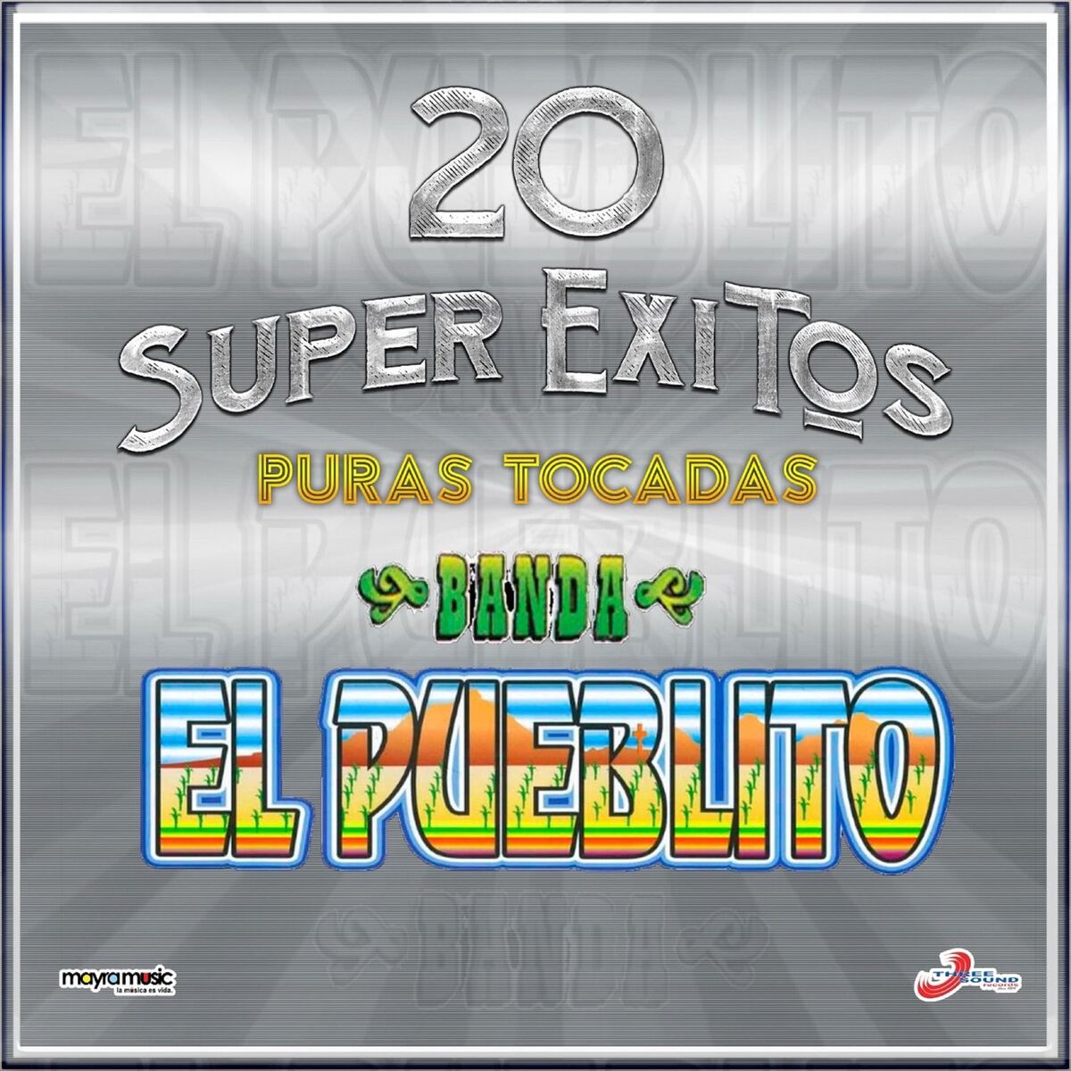 Album cover of 20 Super Exitos Puras Tocadas