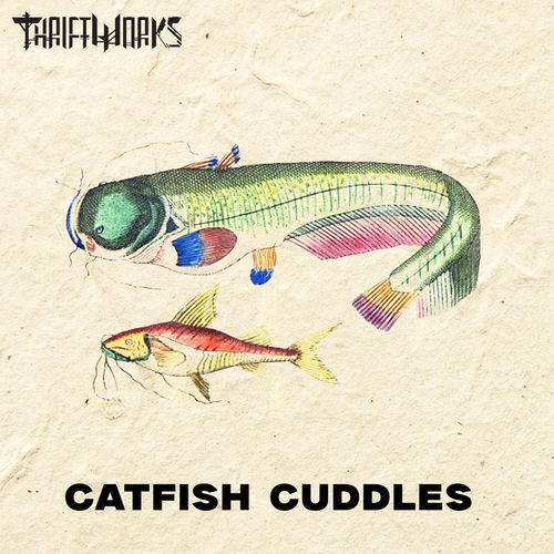 Catfish Cuddles