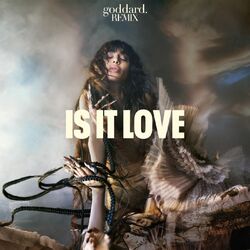 Cover of Is It Love (goddard. Remix)