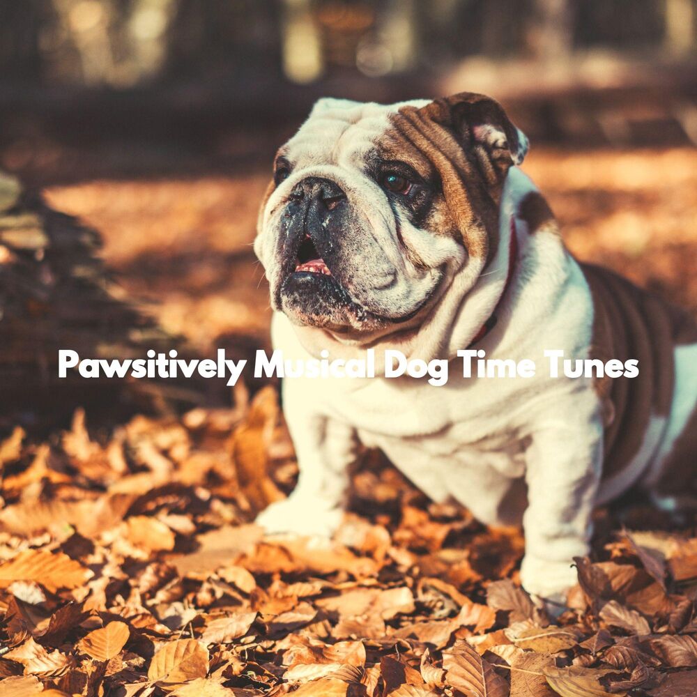 Picture of Pawsitively Musical Dog Time Tunes