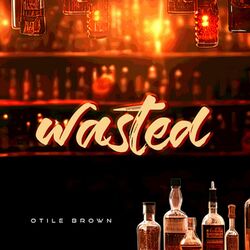 Cover of Wasted