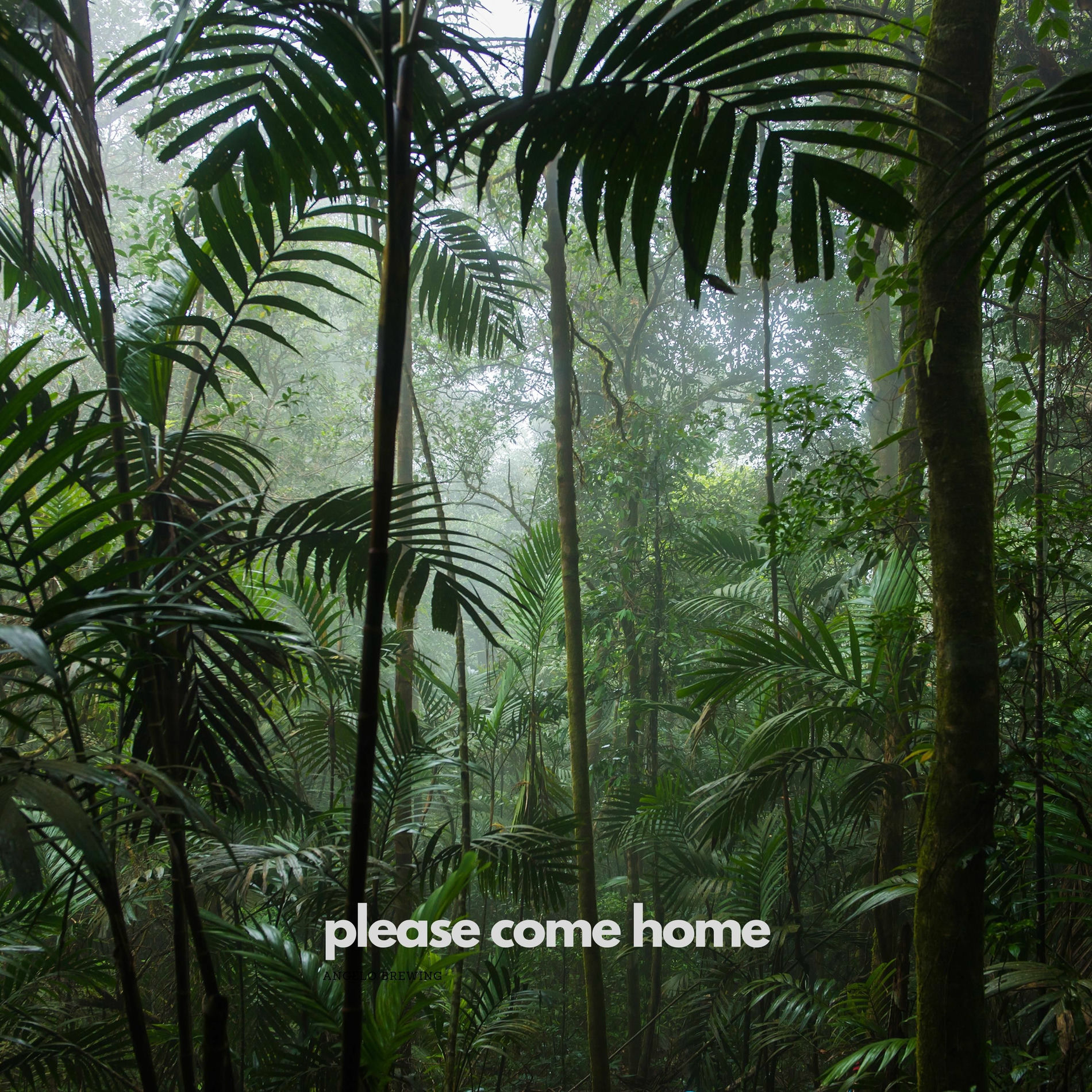 Album cover of Please Come Home