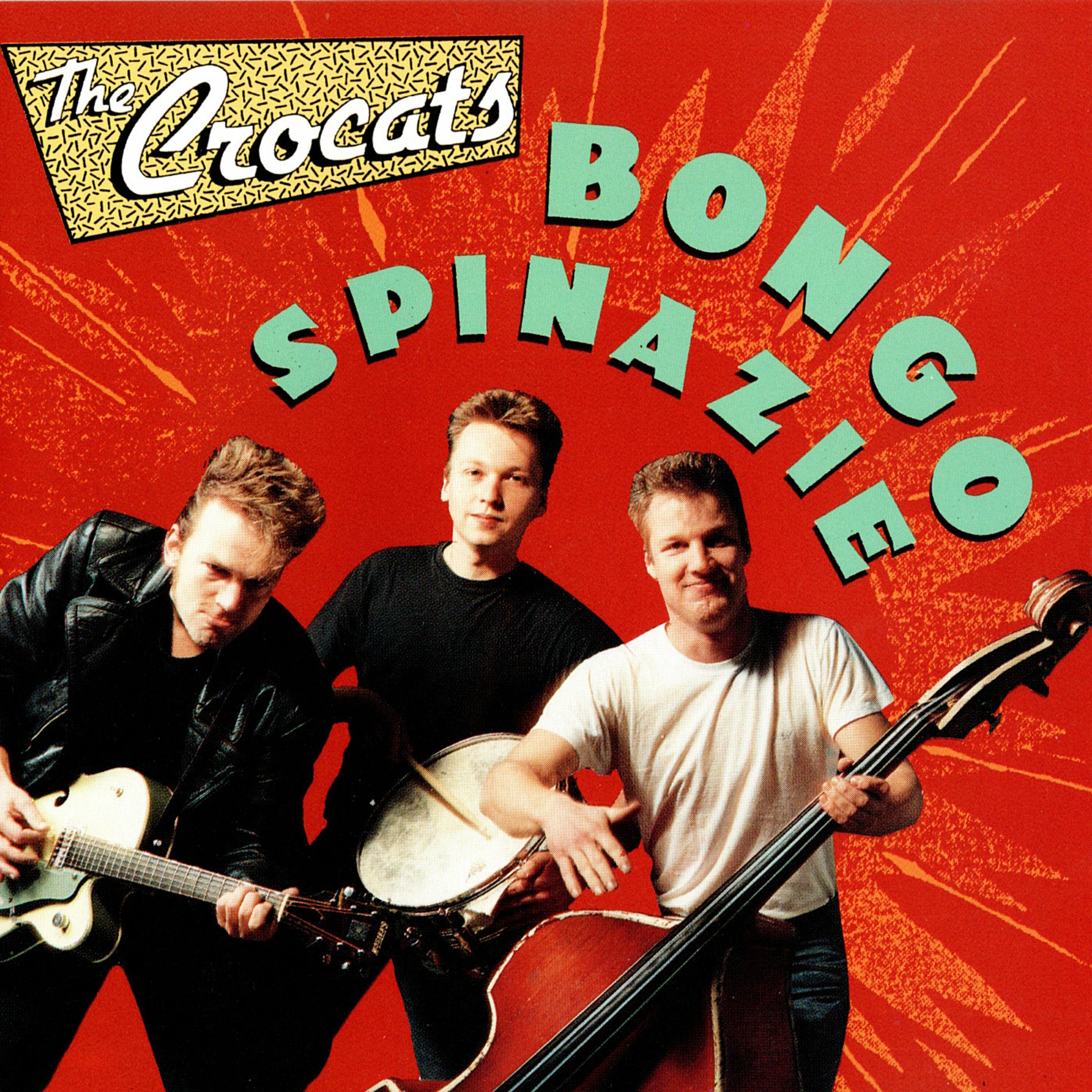 Album cover of Bongo Spinazie