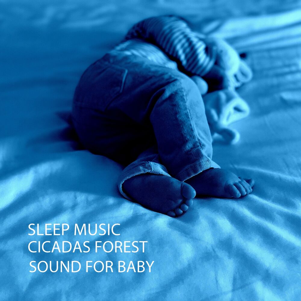 Picture of Sleep Music: Cicadas Forest Sound For Baby