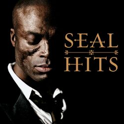 Cover of Hits