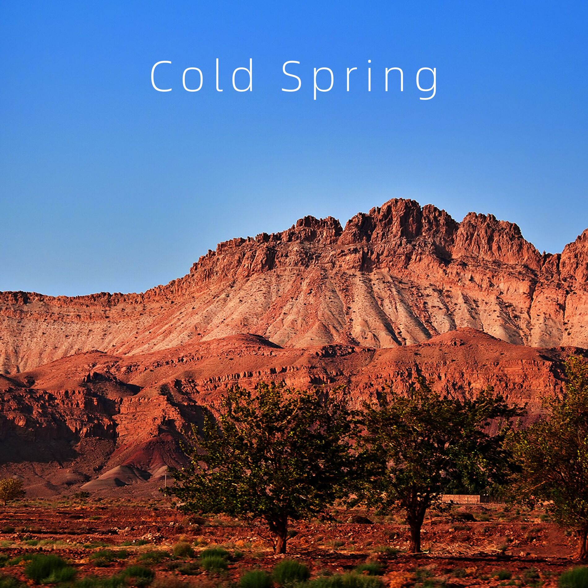 Album cover of Cold Spring