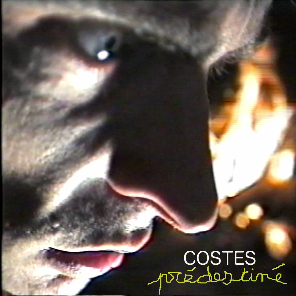 Album cover of Prédestiné