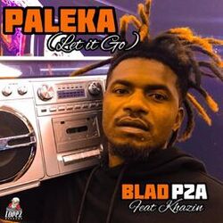 Cover of Paleka (Let It Go)