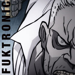 Cover of Fuktronic