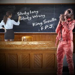 Cover of Study Long Study Wrong