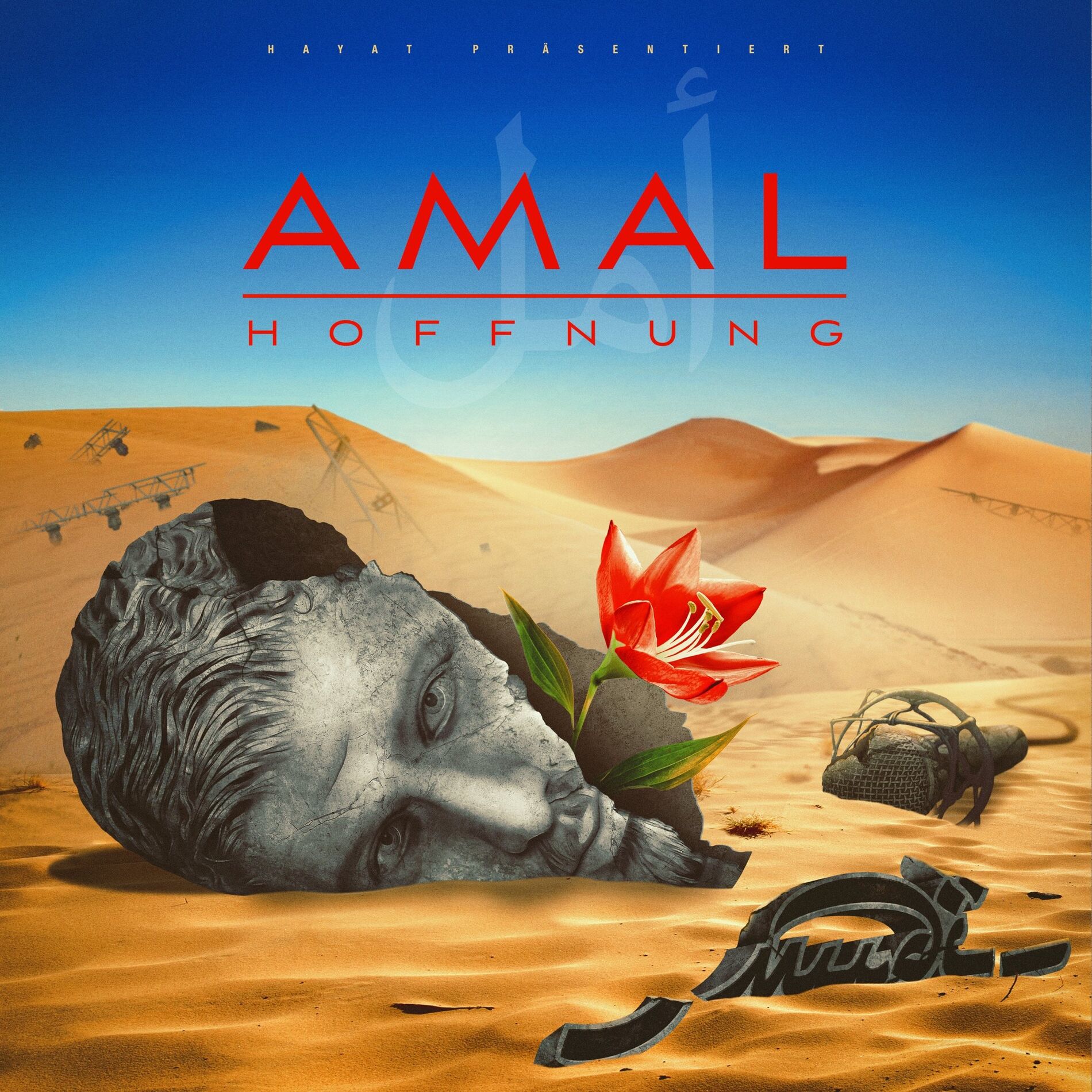 Album cover of Amal