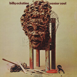 Cover of Senior Soul