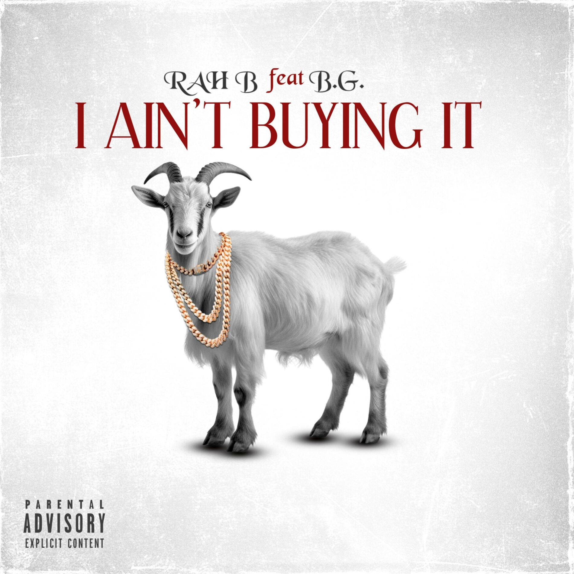 Album cover of I AINT BUYING IT