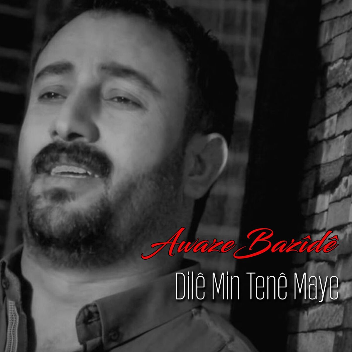 Album cover of Dilê Min Tenê Maye (Akustîk)