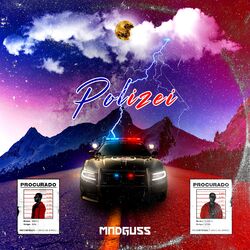 Cover of Polizei