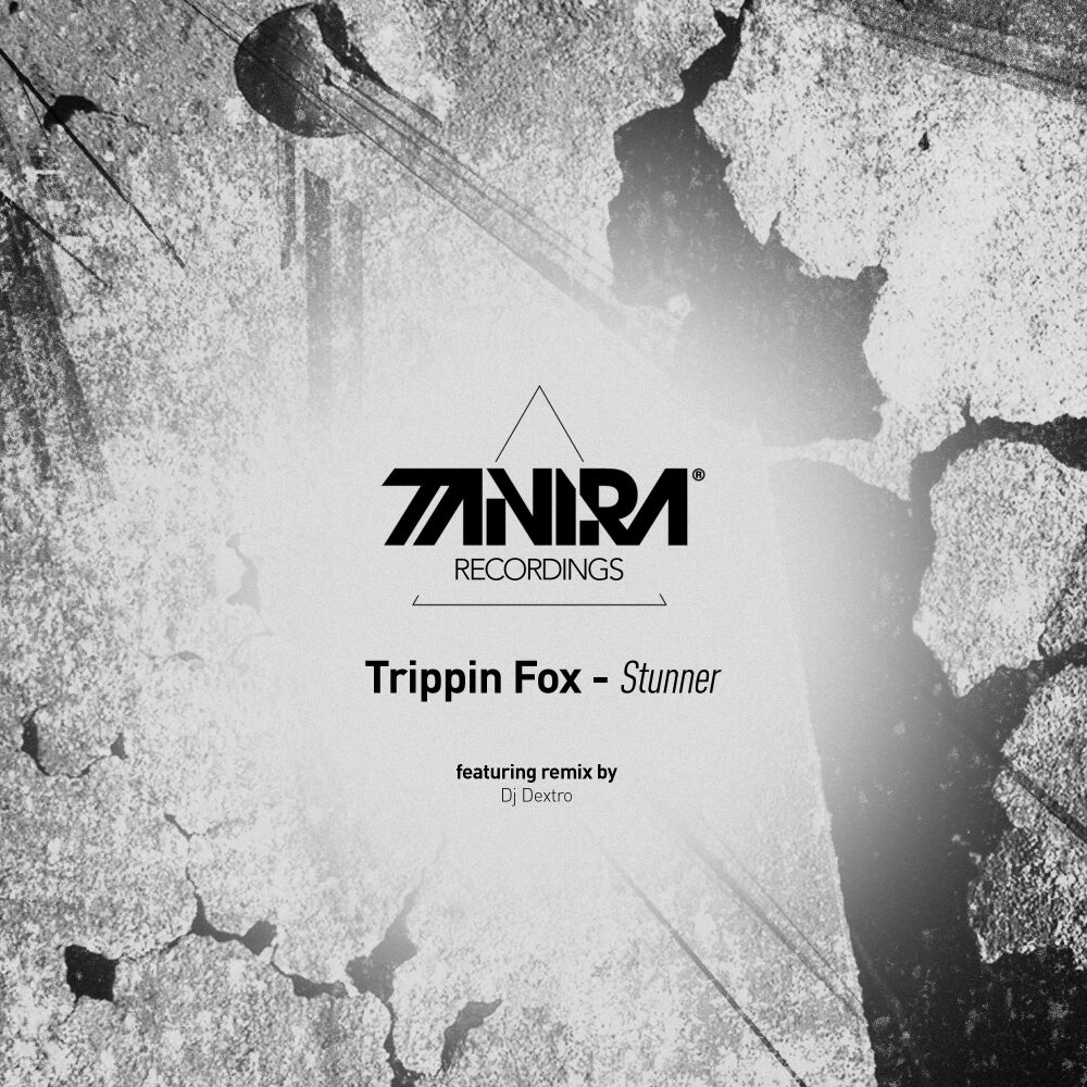 Picture of Stunner EP