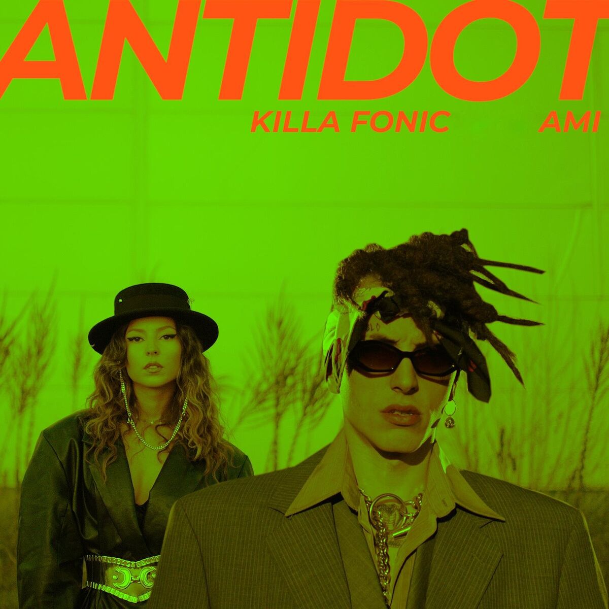 Album cover of Antidot