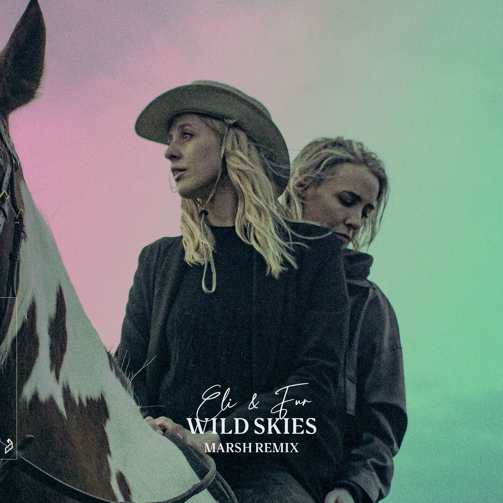 Album cover of Wild Skies