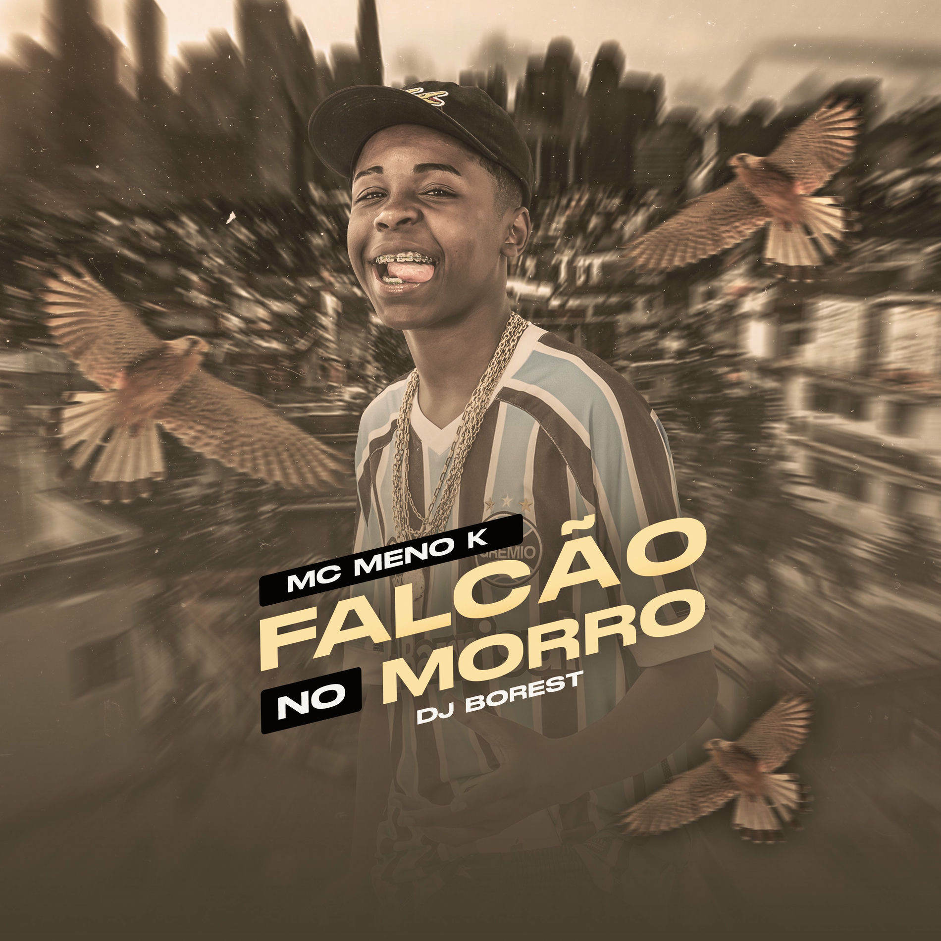 Album cover of Falcão no Morro