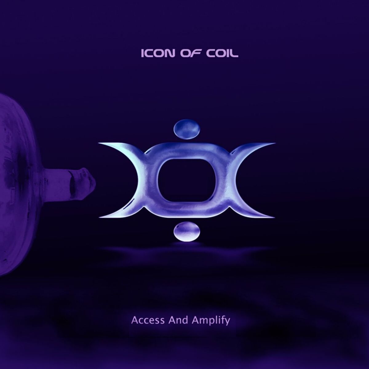 Album cover of Access and Amplify