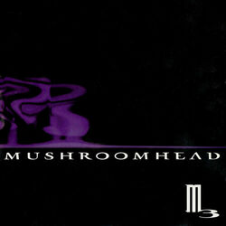 Cover of M3