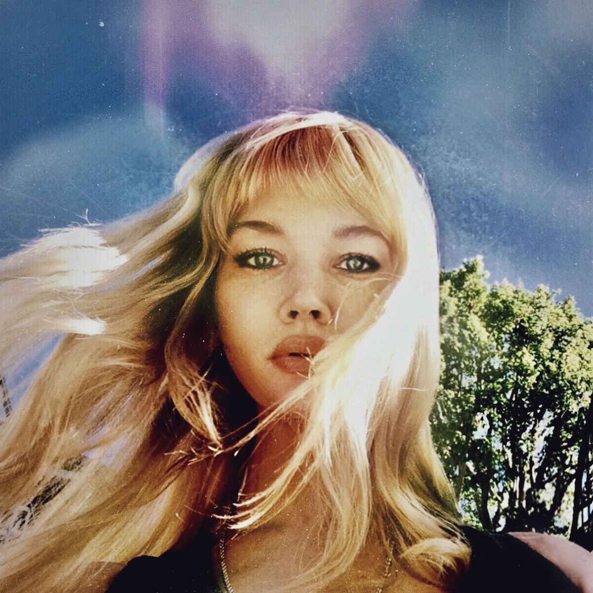 Album cover of California Winter