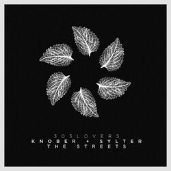Cover of The Streets