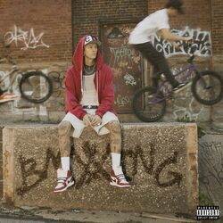 Cover of BMXXing