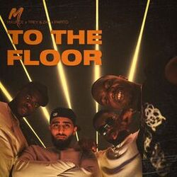 Cover of TO THE FLOOR