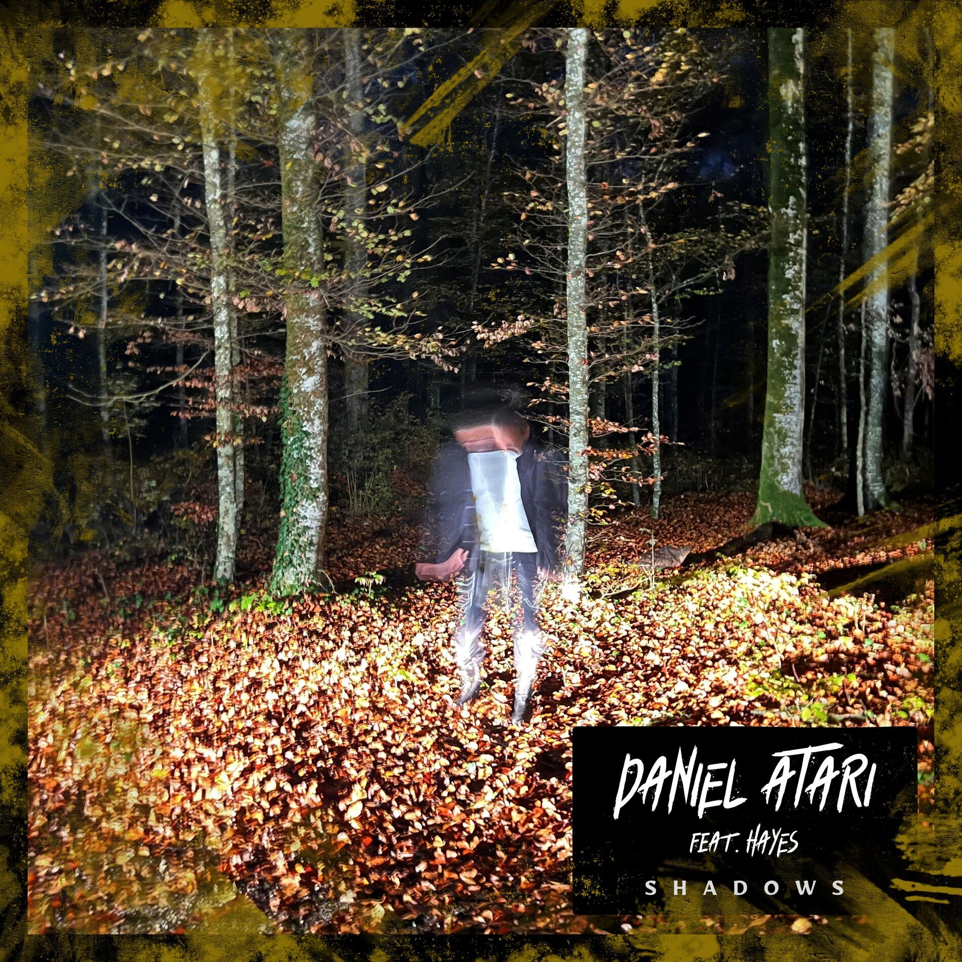 Album cover of Shadows