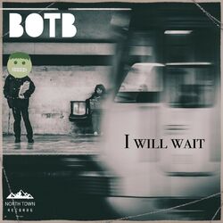 Cover of I Will Wait