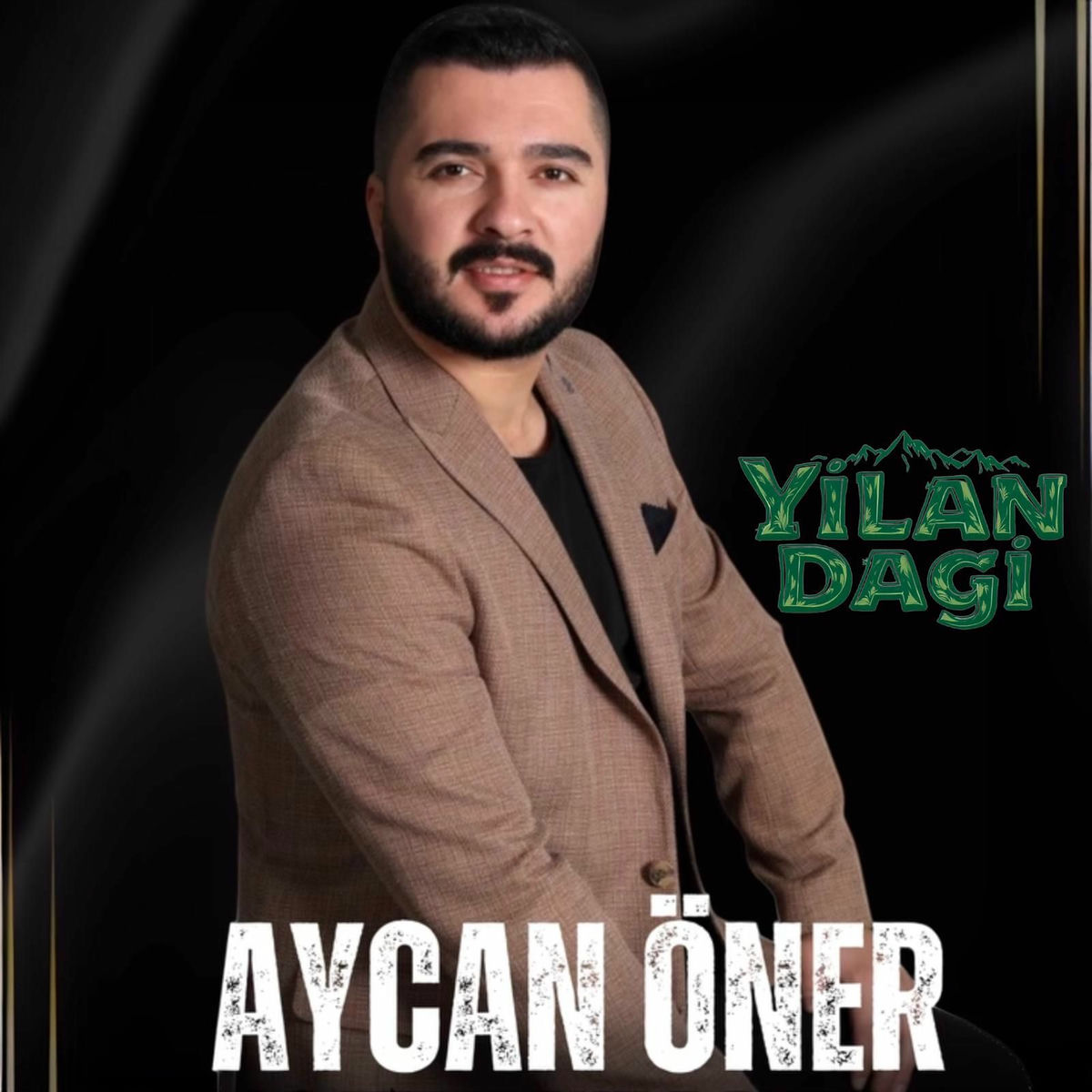Album cover of Yılan Dağı