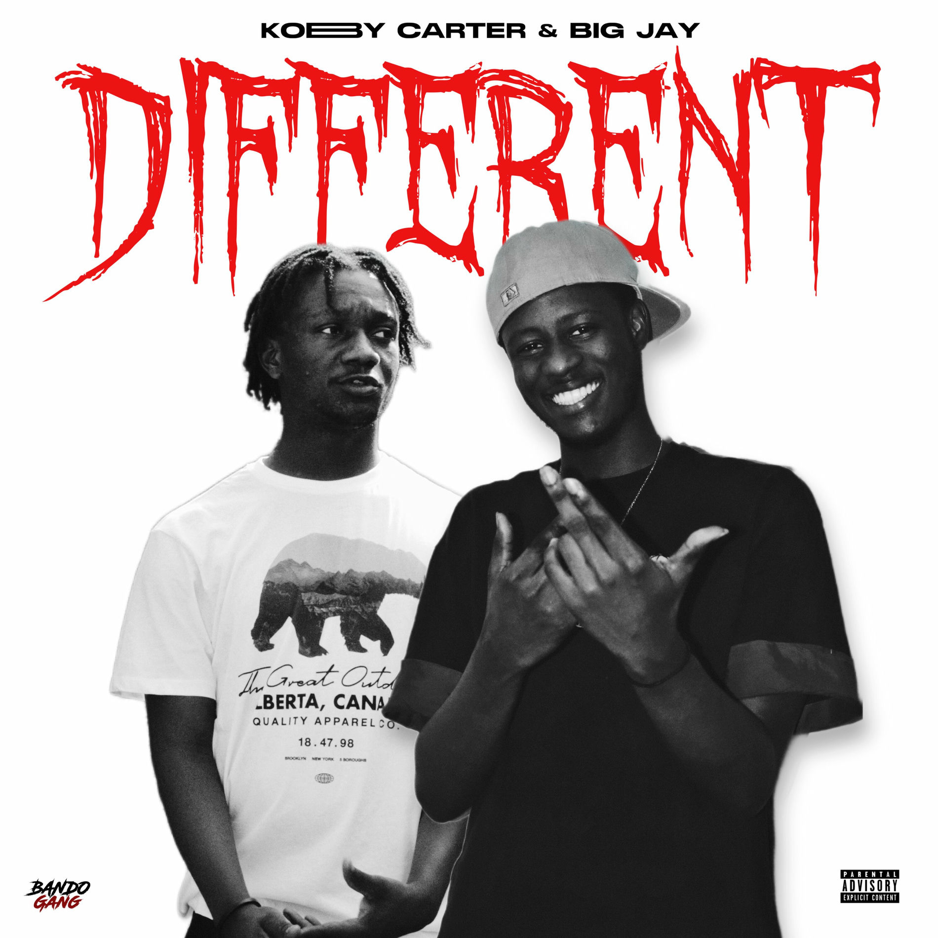 Album cover of Different